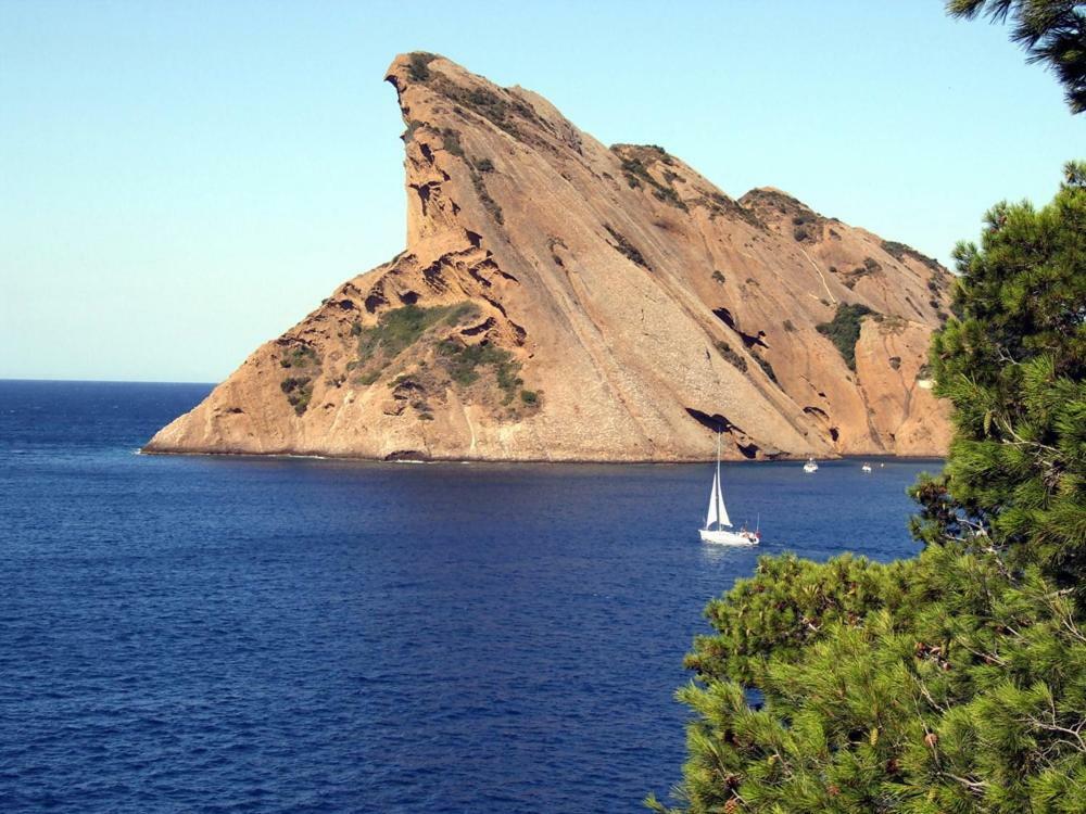 Appart. 4 Pers A 6 Kms De Cassis Avec Acces Piscine Roquefort-la-Bédoule Eksteriør billede