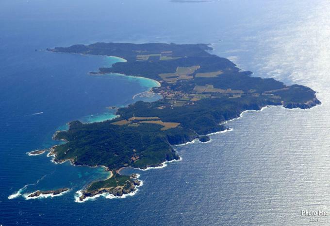 Appart. 4 Pers A 6 Kms De Cassis Avec Acces Piscine Roquefort-la-Bédoule Eksteriør billede